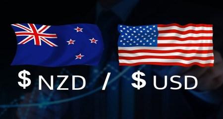 nzdusd450 News - ToolsTrades